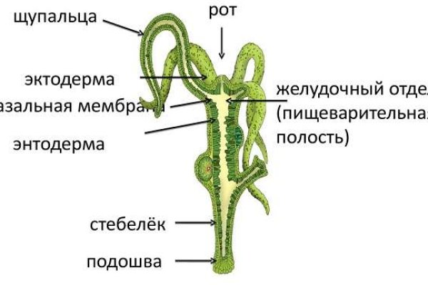 Кракен это что за магазин