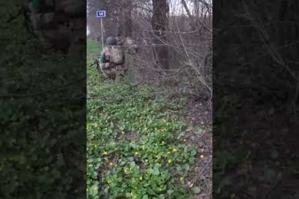 Что такое кракен сайт