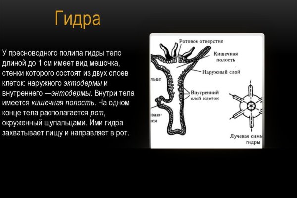 Онион сайты список 2023